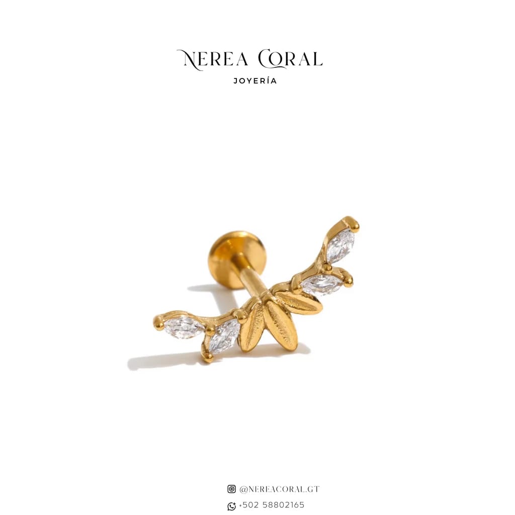 Joyería acero inoxidable zirconias Guatemala collar anillo arete 